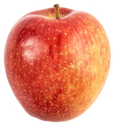 Large Organic Gala Apples, 1 ct - Foods Co.