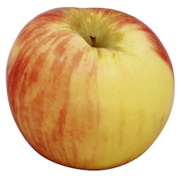 Organic Honeycrisp Apples 1 ct