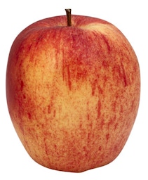 Applewood Fresh Gala Apples 48 oz
