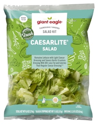 Cool Gear (R) Deluxe Salad Kit